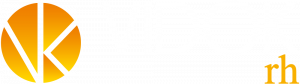 Logo Vidok Rh W